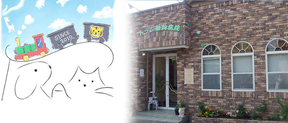 東村山市の動物病院「トラム動物病院」です。