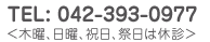 TEL:042-393-0977 木、日、祝日は休診